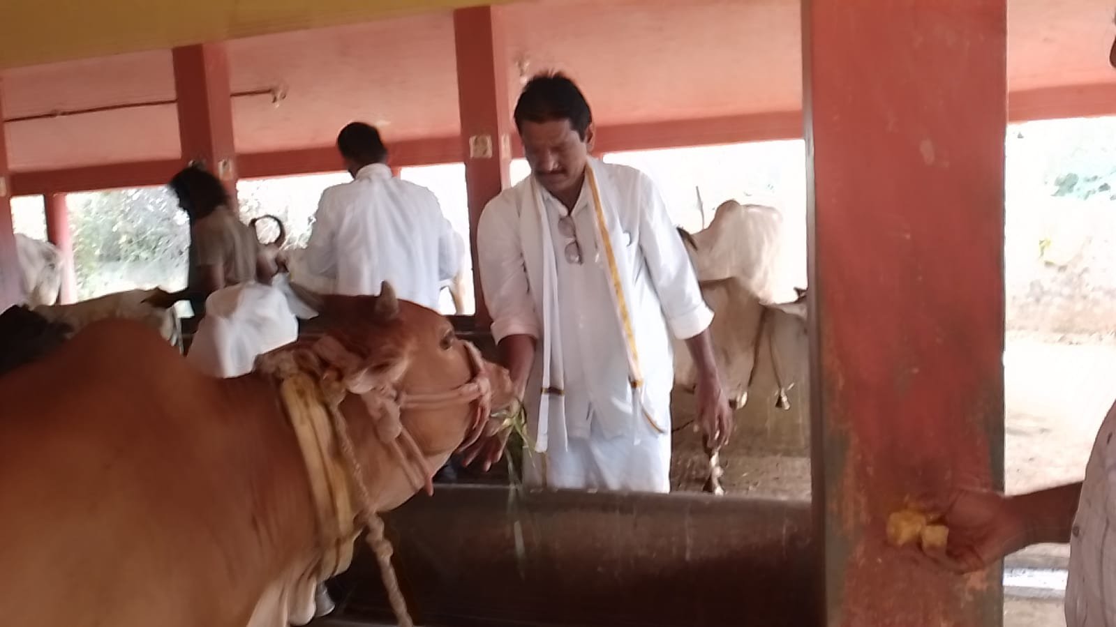 gou puja... (Amma naana charitable trust)