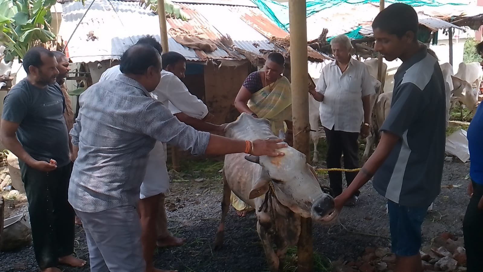 amma nanna charitable trust Guntur