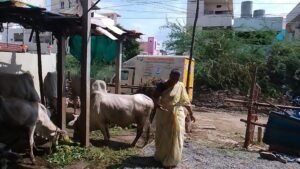 Goseva Service in Guntur