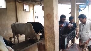 Goseva Service in Guntur
