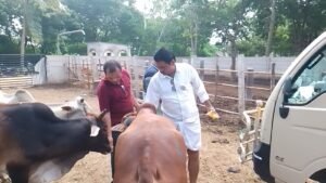 Goseva Service in Guntur